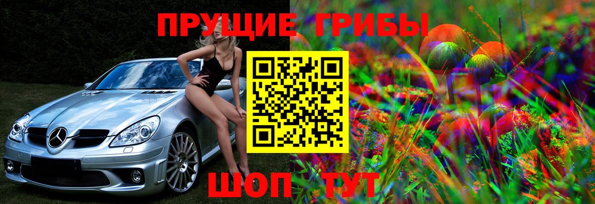 Галлюциногенные грибы Cubensis  Вход с VPN  Советская Гавань  Псилоцибиновые грибы Psilocybine cubensis 