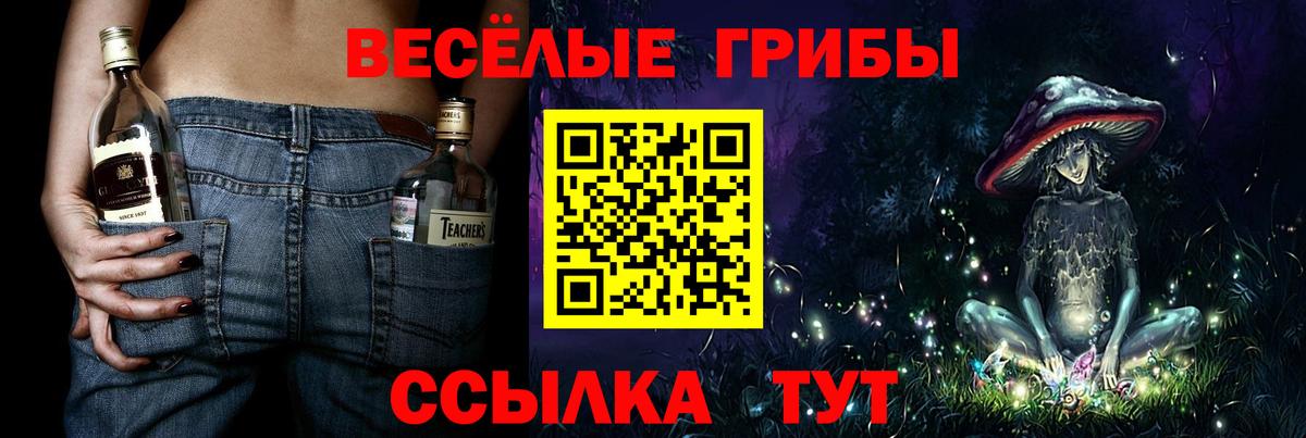 Псилоцибиновые грибы мицелий Советская Гавань